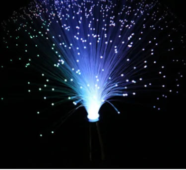 Chroma Fiber Optic Light